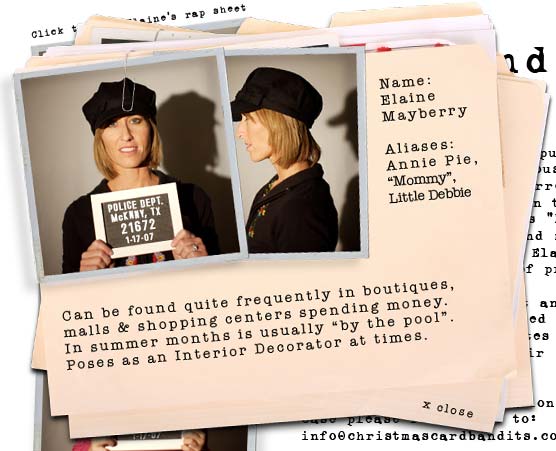 Elaine's rap sheet